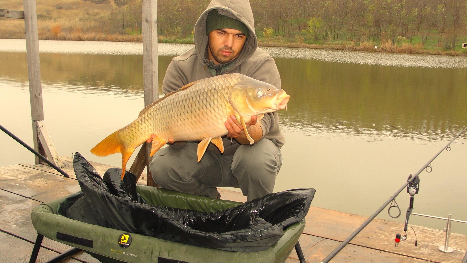 Magura 9 23 - 23 nov. - 21.JPG